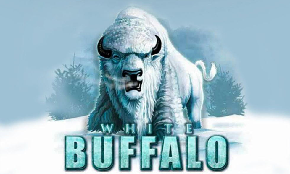 white buffalo