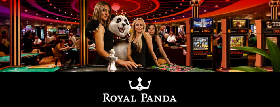 casino amambay online